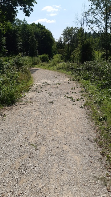 20210718_142702 groß.jpg